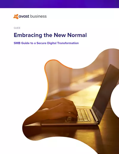 Guía para PYMEs para una transformación digital segura - documento PDF en inglés.